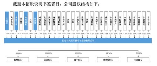 长光系第三家科创板IPO获受理 长光辰芯高额股份支付致亏损，产销率与教学设备业务引关注